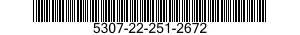 5307-22-251-2672  5307222512672 222512672