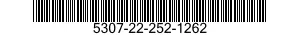 5307-22-252-1262  5307222521262 222521262
