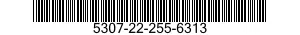 5307-22-255-6313  5307222556313 222556313