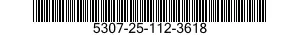 5307-25-112-3618  5307251123618 251123618