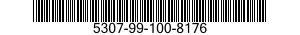 5307-99-100-8176  5307991008176 991008176