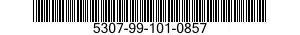 5307-99-101-0857  5307991010857 991010857