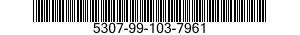 5307-99-103-7961  5307991037961 991037961