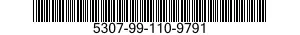 5307-99-110-9791  5307991109791 991109791