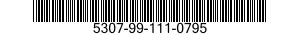 5307-99-111-0795  5307991110795 991110795