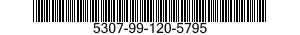 5307-99-120-5795  5307991205795 991205795