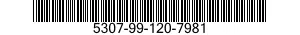 5307-99-120-7981  5307991207981 991207981