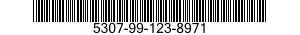 5307-99-123-8971  5307991238971 991238971