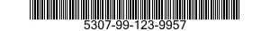 5307-99-123-9957  5307991239957 991239957