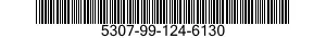 5307-99-124-6130  5307991246130 991246130