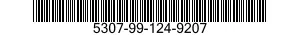 5307-99-124-9207  5307991249207 991249207