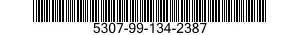 5307-99-134-2387  5307991342387 991342387
