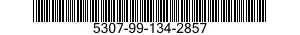 5307-99-134-2857  5307991342857 991342857
