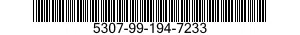 5307-99-194-7233  5307991947233 991947233