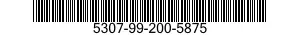 5307-99-200-5875  5307992005875 992005875