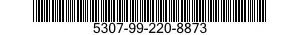 5307-99-220-8873  5307992208873 992208873