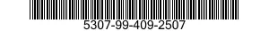 5307-99-409-2507  5307994092507 994092507