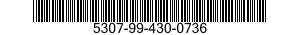 5307-99-430-0736  5307994300736 994300736