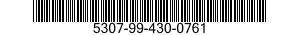5307-99-430-0761  5307994300761 994300761
