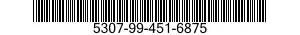 5307-99-451-6875  5307994516875 994516875