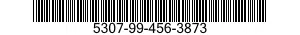 5307-99-456-3873  5307994563873 994563873