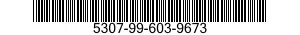 5307-99-603-9673  5307996039673 996039673