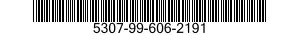 5307-99-606-2191  5307996062191 996062191