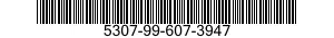 5307-99-607-3947  5307996073947 996073947
