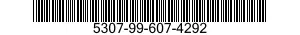 5307-99-607-4292  5307996074292 996074292