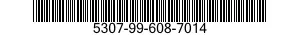 5307-99-608-7014  5307996087014 996087014