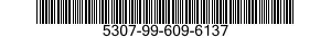 5307-99-609-6137  5307996096137 996096137