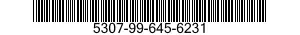 5307-99-645-6231  5307996456231 996456231