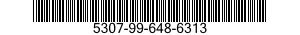 5307-99-648-6313  5307996486313 996486313