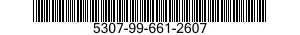 5307-99-661-2607  5307996612607 996612607