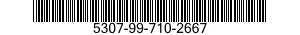 5307-99-710-2667  5307997102667 997102667