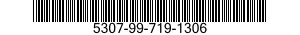 5307-99-719-1306  5307997191306 997191306