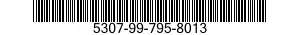 5307-99-795-8013  5307997958013 997958013