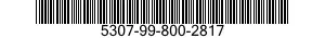 5307-99-800-2817  5307998002817 998002817