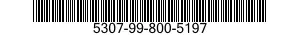 5307-99-800-5197  5307998005197 998005197
