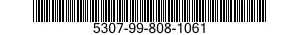 5307-99-808-1061  5307998081061 998081061