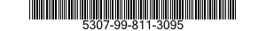 5307-99-811-3095  5307998113095 998113095