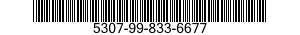 5307-99-833-6677  5307998336677 998336677