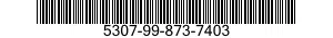 5307-99-873-7403  5307998737403 998737403