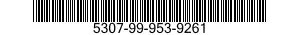 5307-99-953-9261  5307999539261 999539261