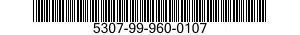 5307-99-960-0107  5307999600107 999600107