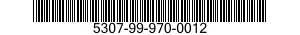 5307-99-970-0012  5307999700012 999700012