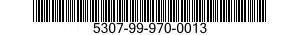 5307-99-970-0013  5307999700013 999700013