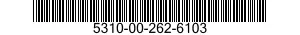 5310-00-262-6103 NUT,PLAIN,SLOTTED,HEXAGON 5310002626103 002626103