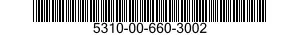 5310-00-660-3002  5310006603002 006603002