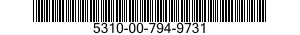 5310-00-794-9731  5310007949731 007949731